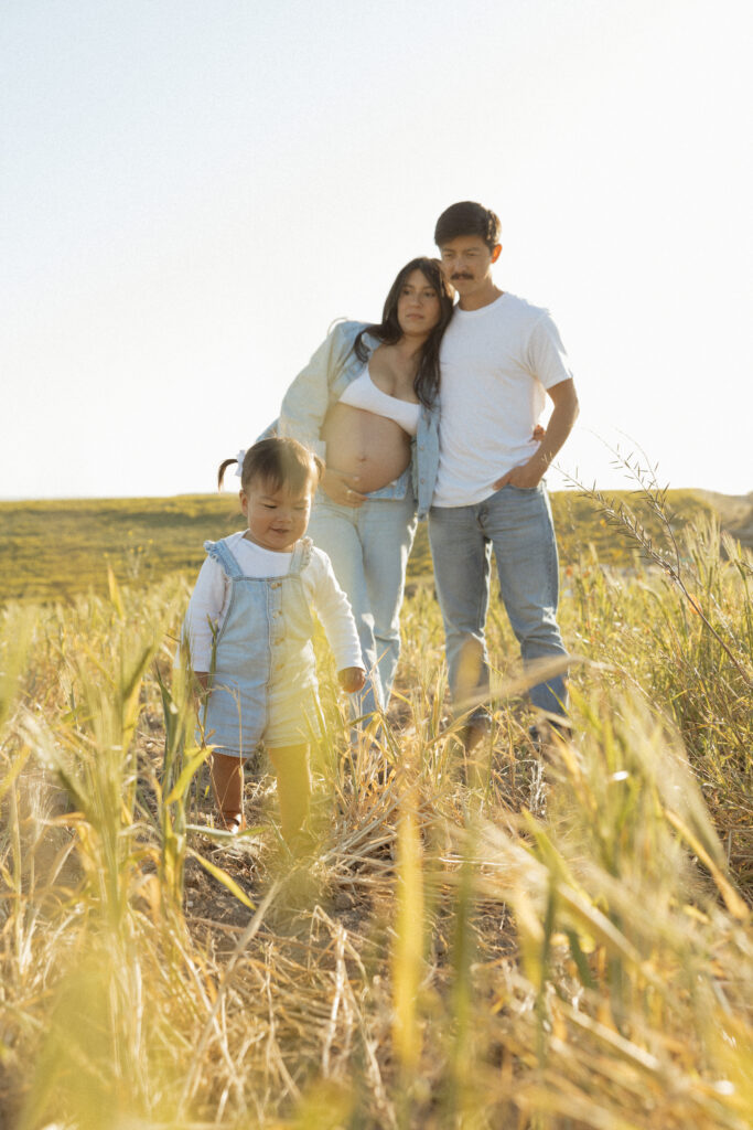 Family Photos in Meadow, Family Maternity Photos